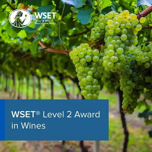 WSET Level 2 Award in Wines Course - Sundays October at Leonardo Hotel Bristol City