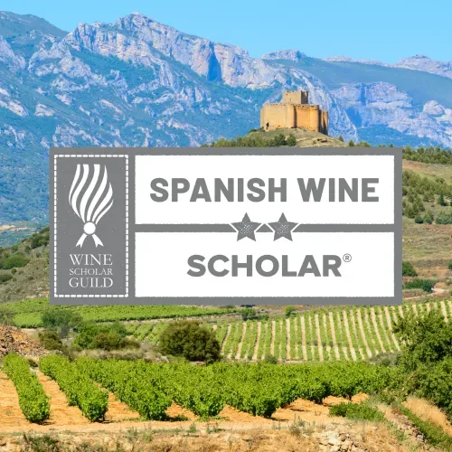 Spanish Wine Scholar at Leonardo Royal Brighton Waterfront Hotel