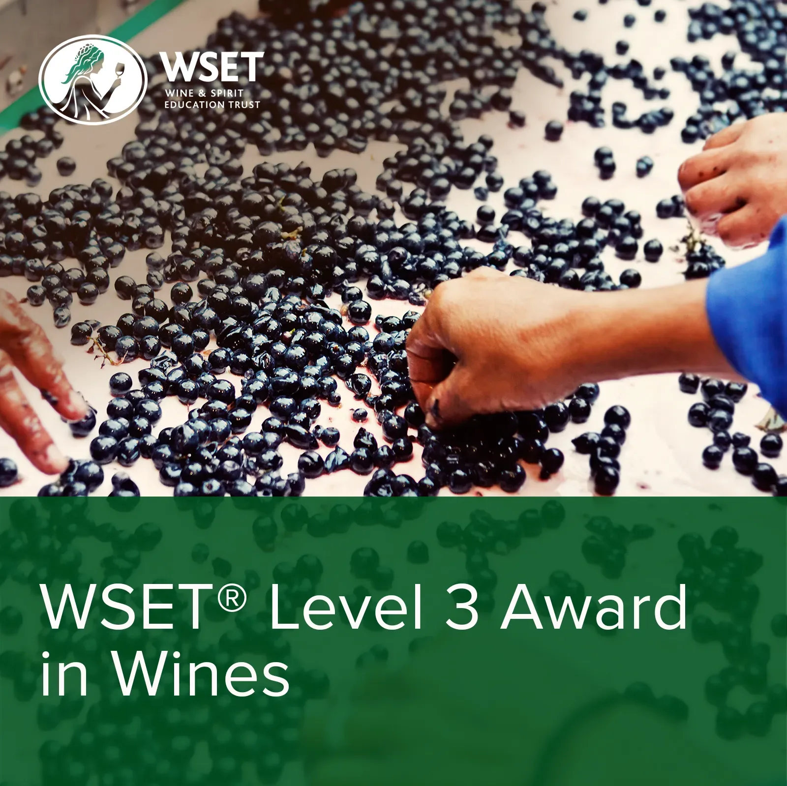WSET Level 3 Award in Wines Classroom, Tuesdays at Cambridge Wine Merchants