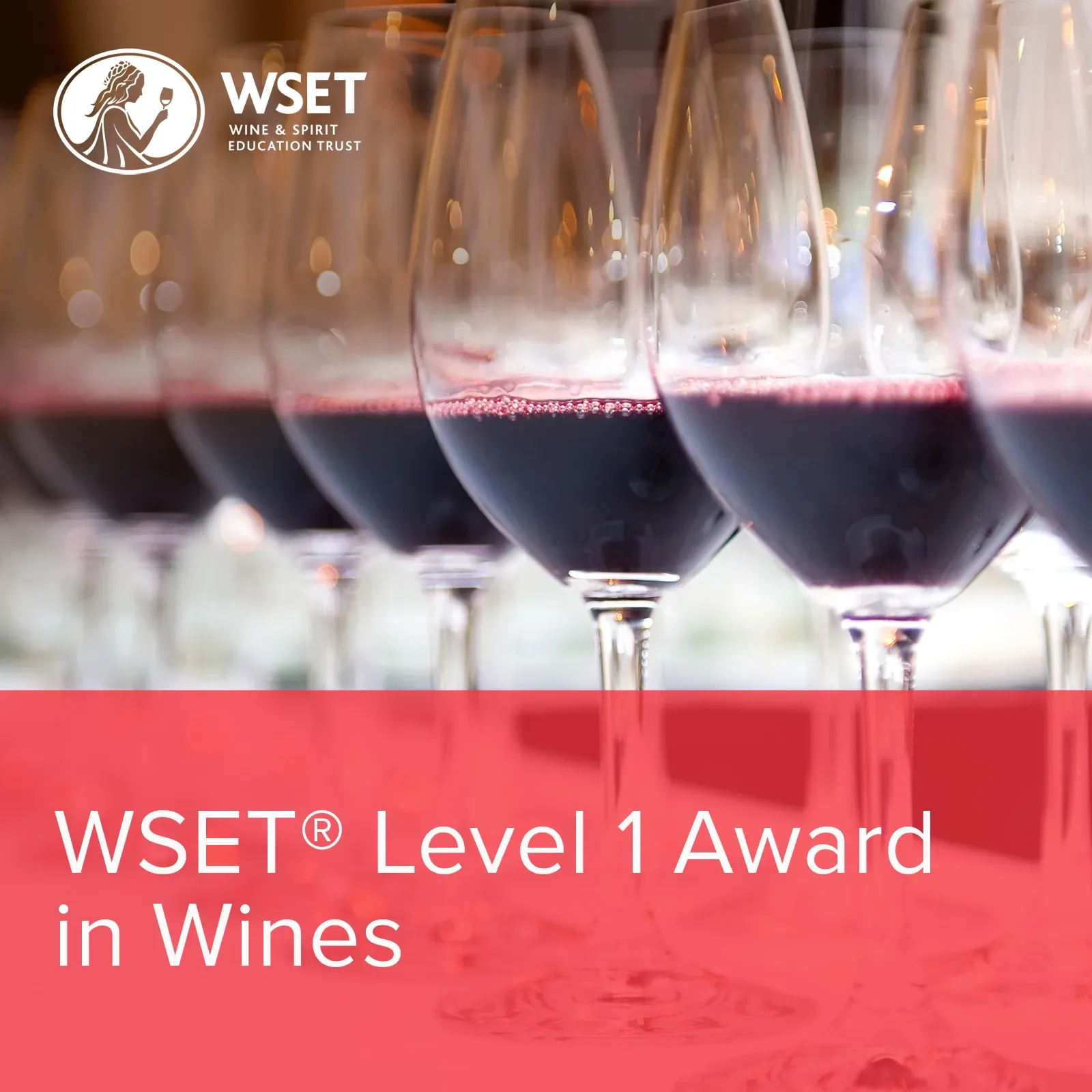 WSET Level 1 Award in Wines Classroom, Tuesday Daytime at Cambridge Wine Merchants