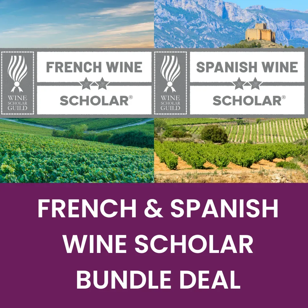 French Wine Scholar Course at The Castlefield Hotel