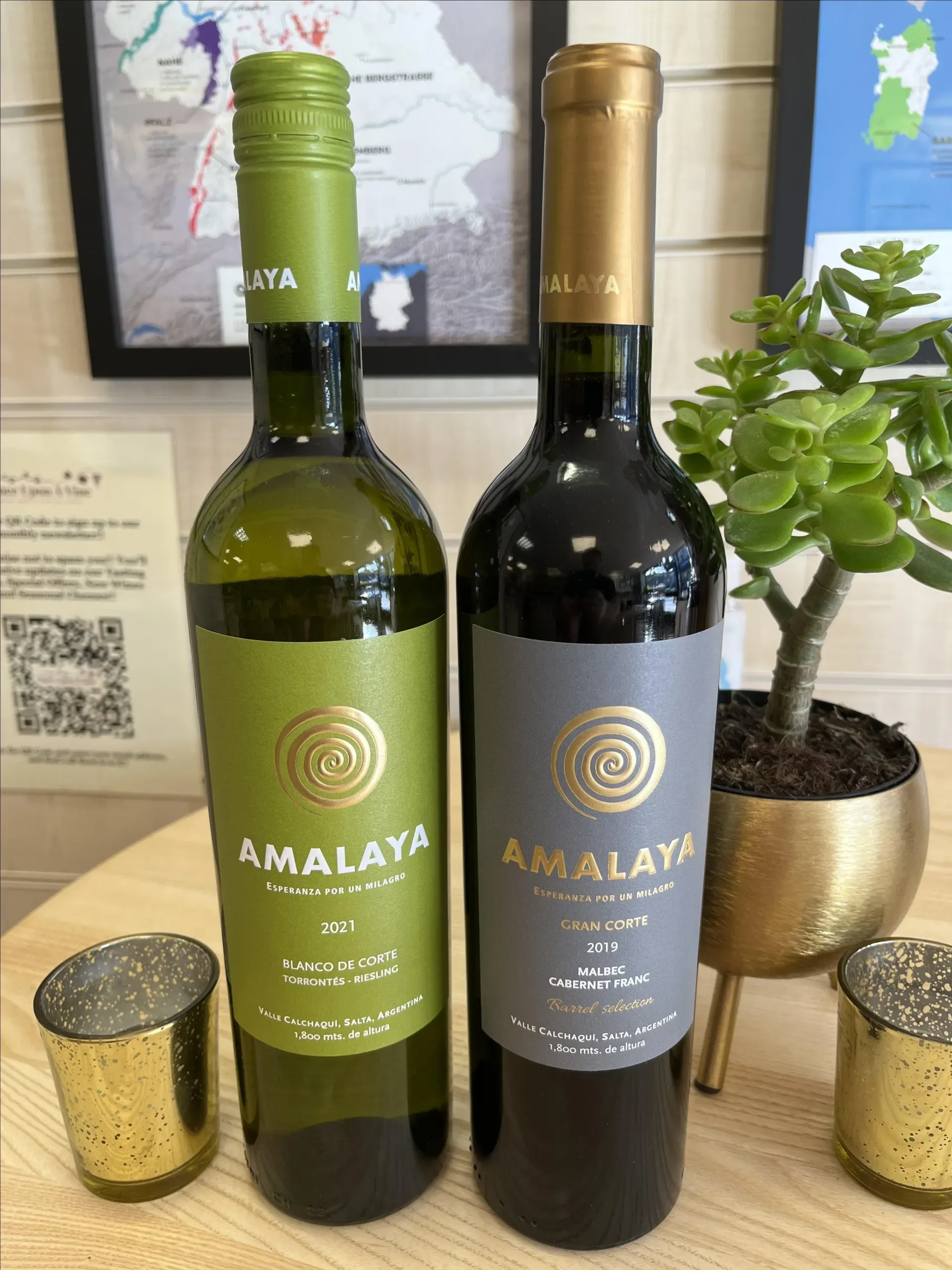 Wines Of South America!! - Horsforth at Once Upon a Vine