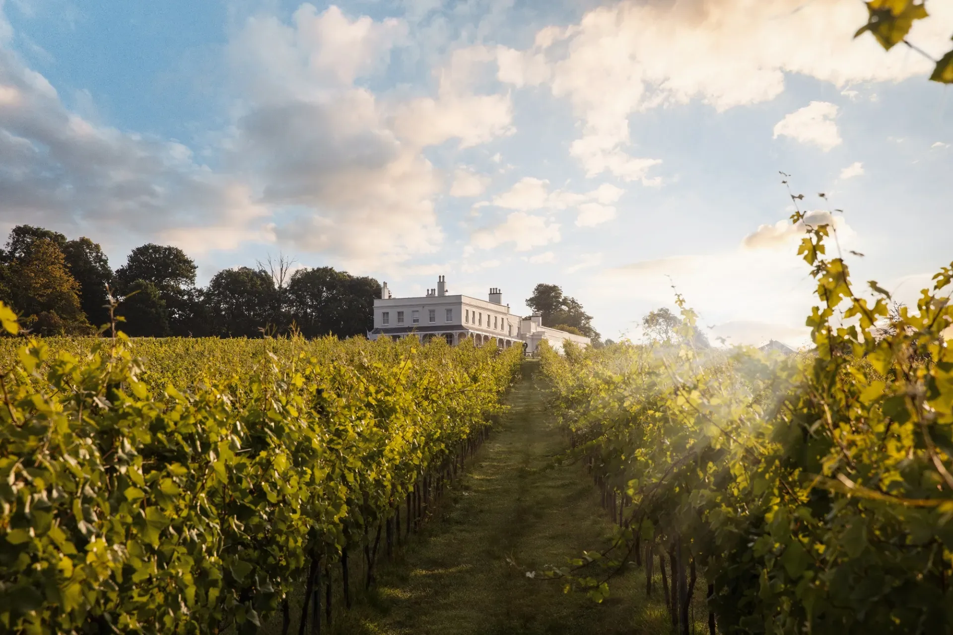 Taste East Devon Festival – Vineyard Tour and Pool House Lunch at Lympstone Manor