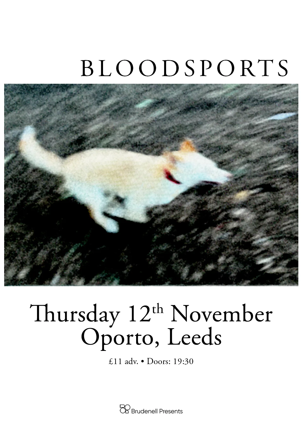 Bloodsports at Oporto