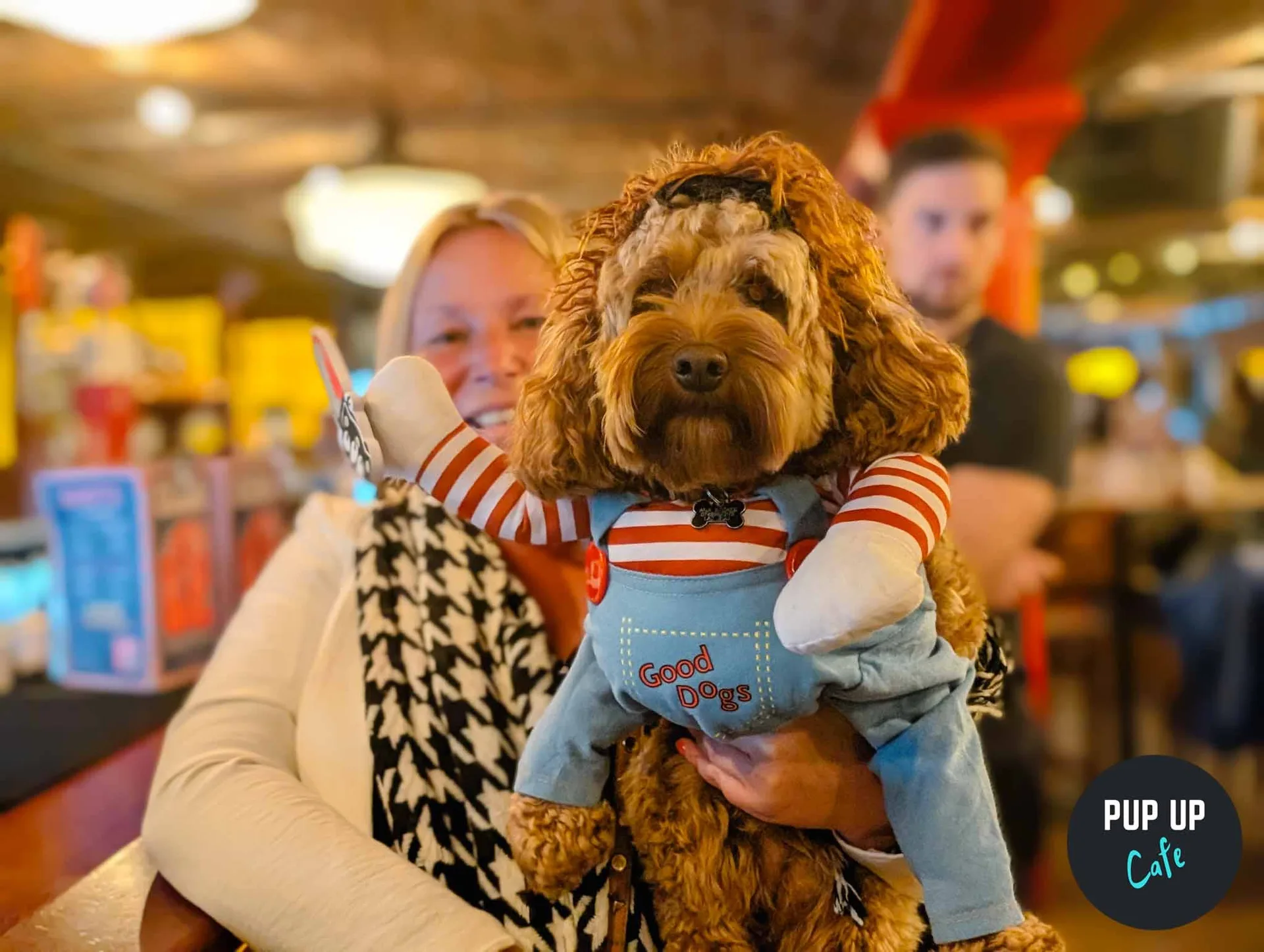Halloween Doodle/Poodle Pup Up Cafe - Birmingham🎃 at Alfresco at Alfred Works