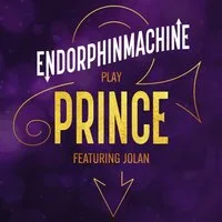 Prince Tribute EndorphinMachine at The Flowerpot