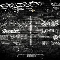 Bruised youth fest 2 day ticket at The Lughole, Sheffield