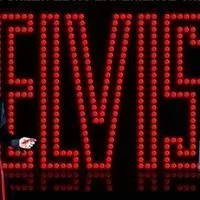 Mark Green as Elvis at The Rhodehouse