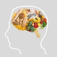 The Gut-Brain Connection at Temple Hall