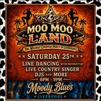 Moo Moo Land at Moody Blues
