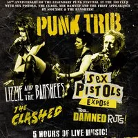Sex Pistols Exposé/ Lizzie & The Banshees/ Clashed/ Damned Ruts at Leeds Irish Centre