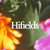 Hifields Festival at Dullingham Polo Club