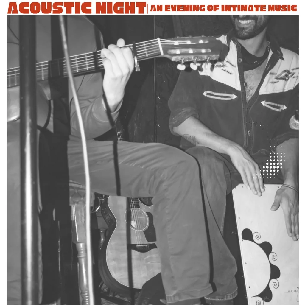 The Acoustic Night | An Evening of Intimate Music at The Bees Mouth