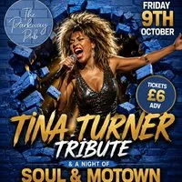 Tina Turner Tribute and a night of Soul and Motown at The Parkway Sports Bar, Lounge And Function Suite
