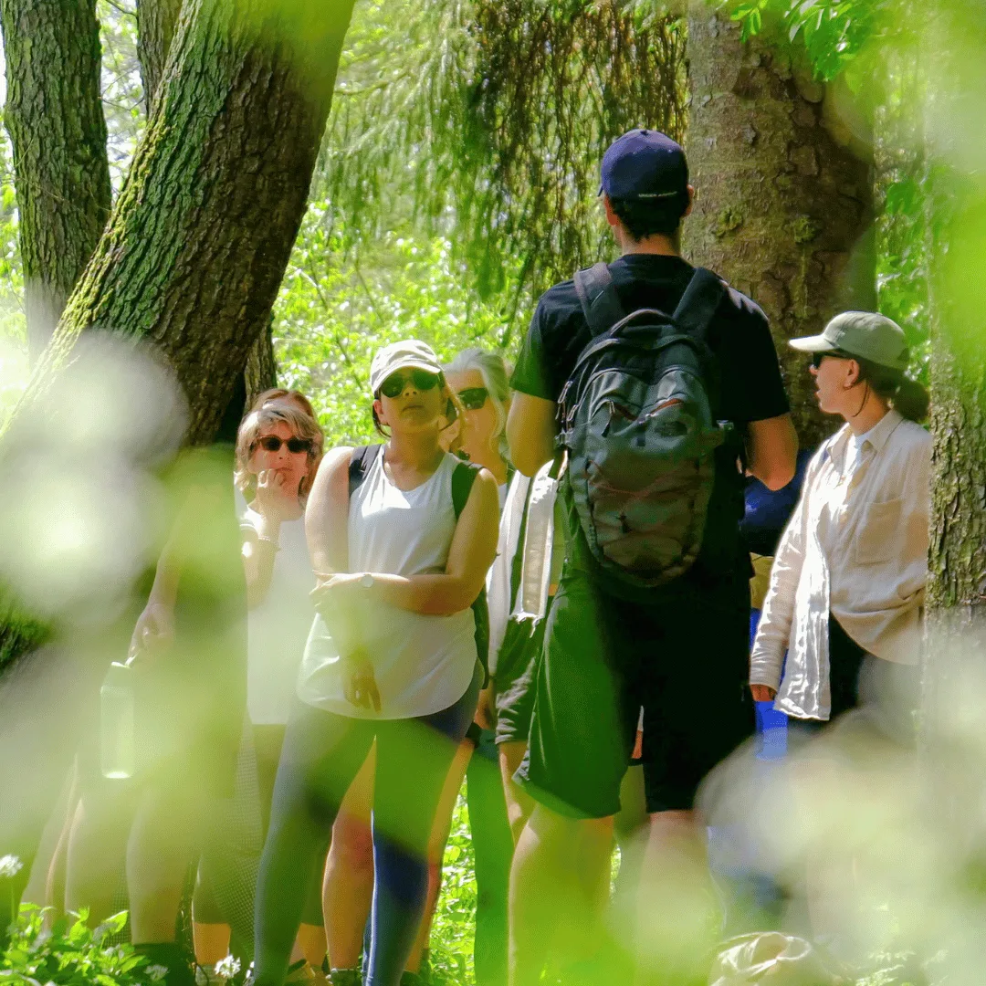 Foraging course – Totally Wild at Horsenden Farm