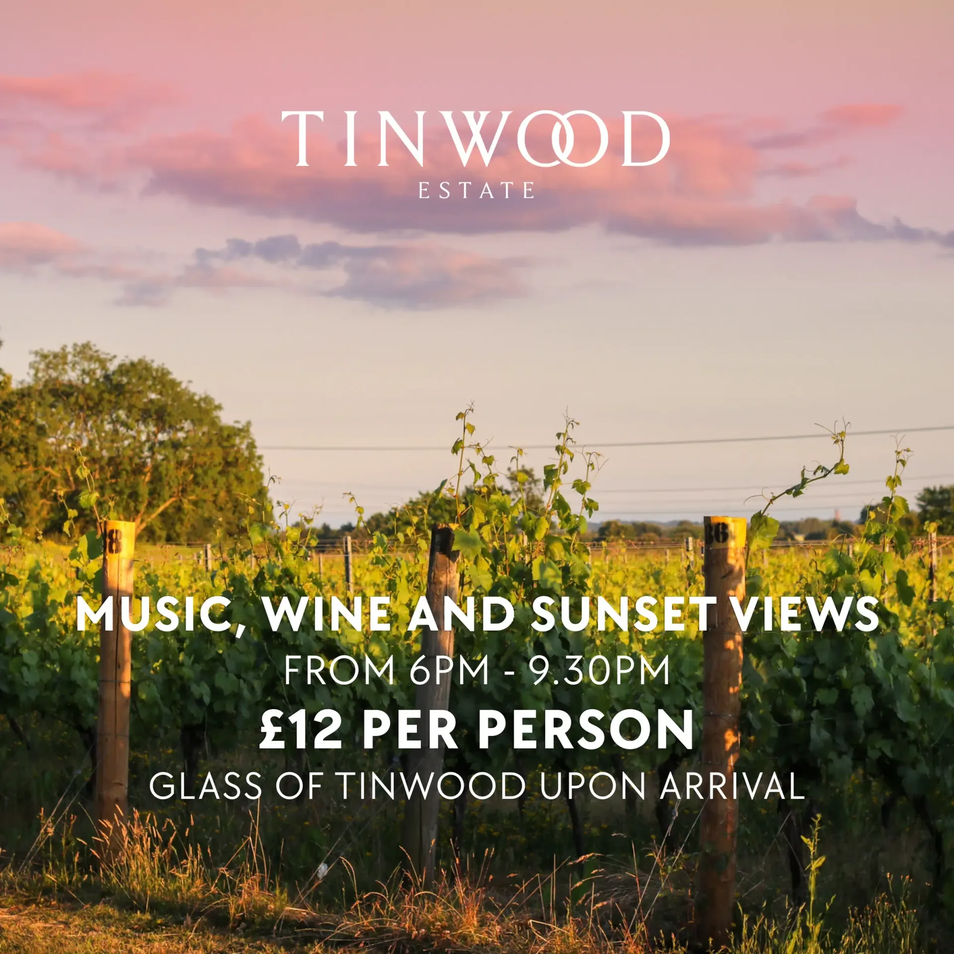 SUNDAY SUNDOWN: ACOUSTIC NIGHT