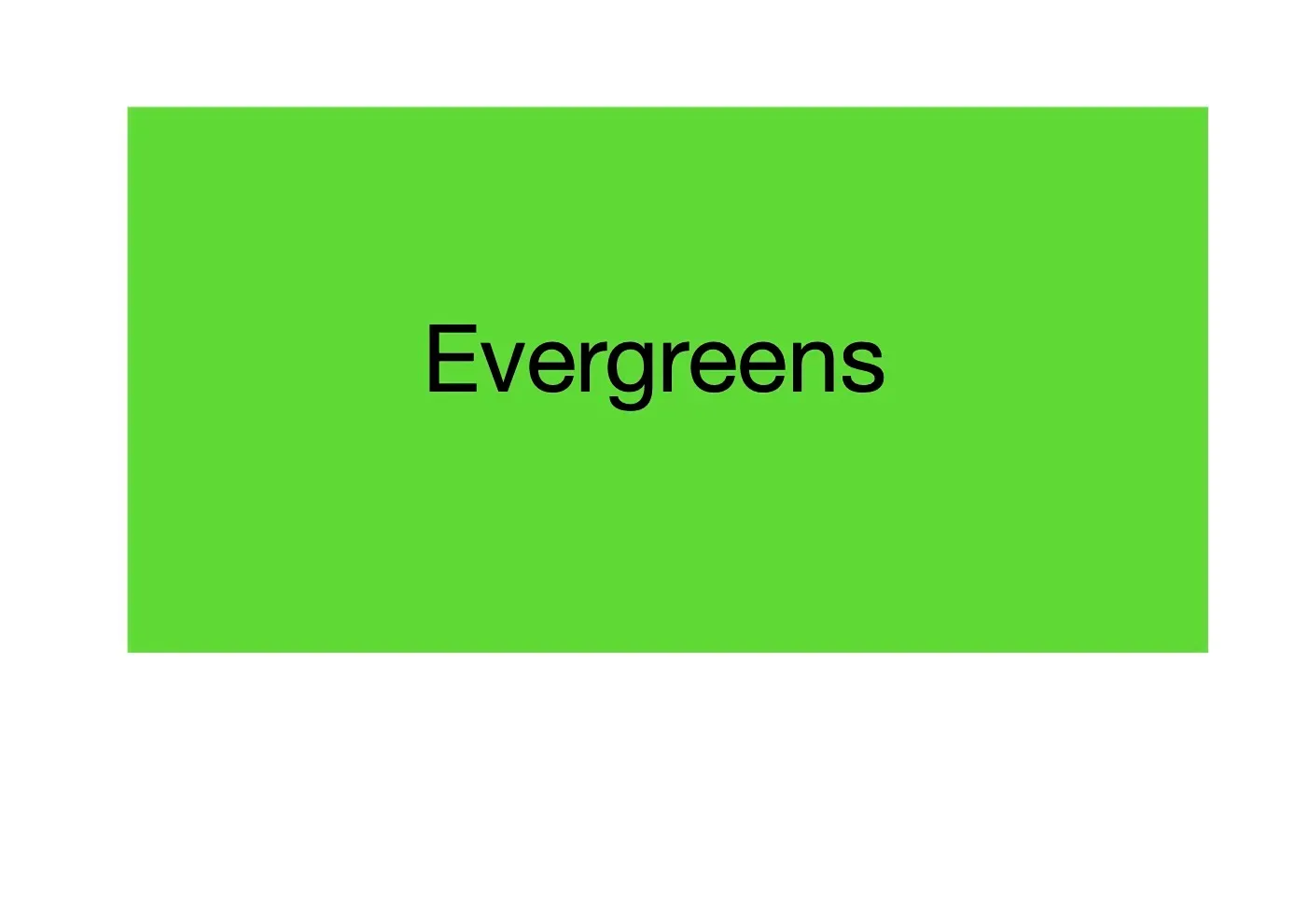 Evergreens
