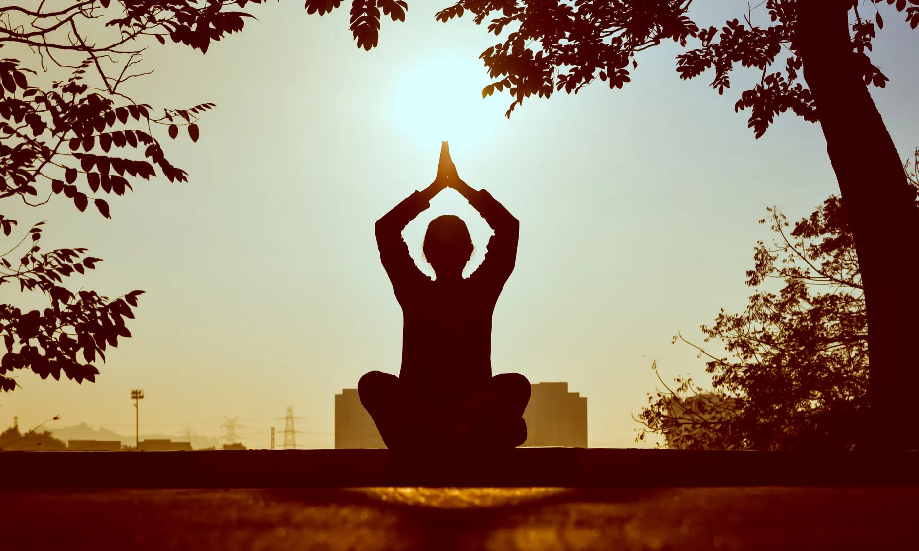 Music, Mood and Wellbeing
