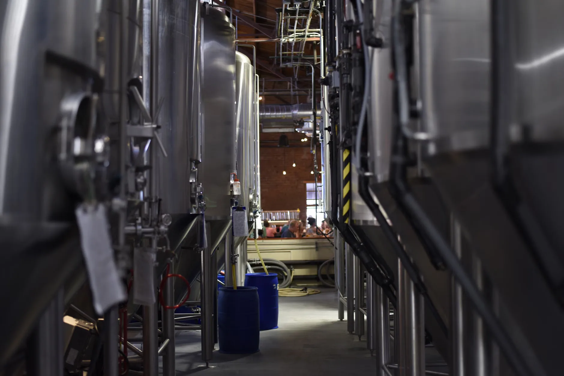 Chappel Beer Festival
