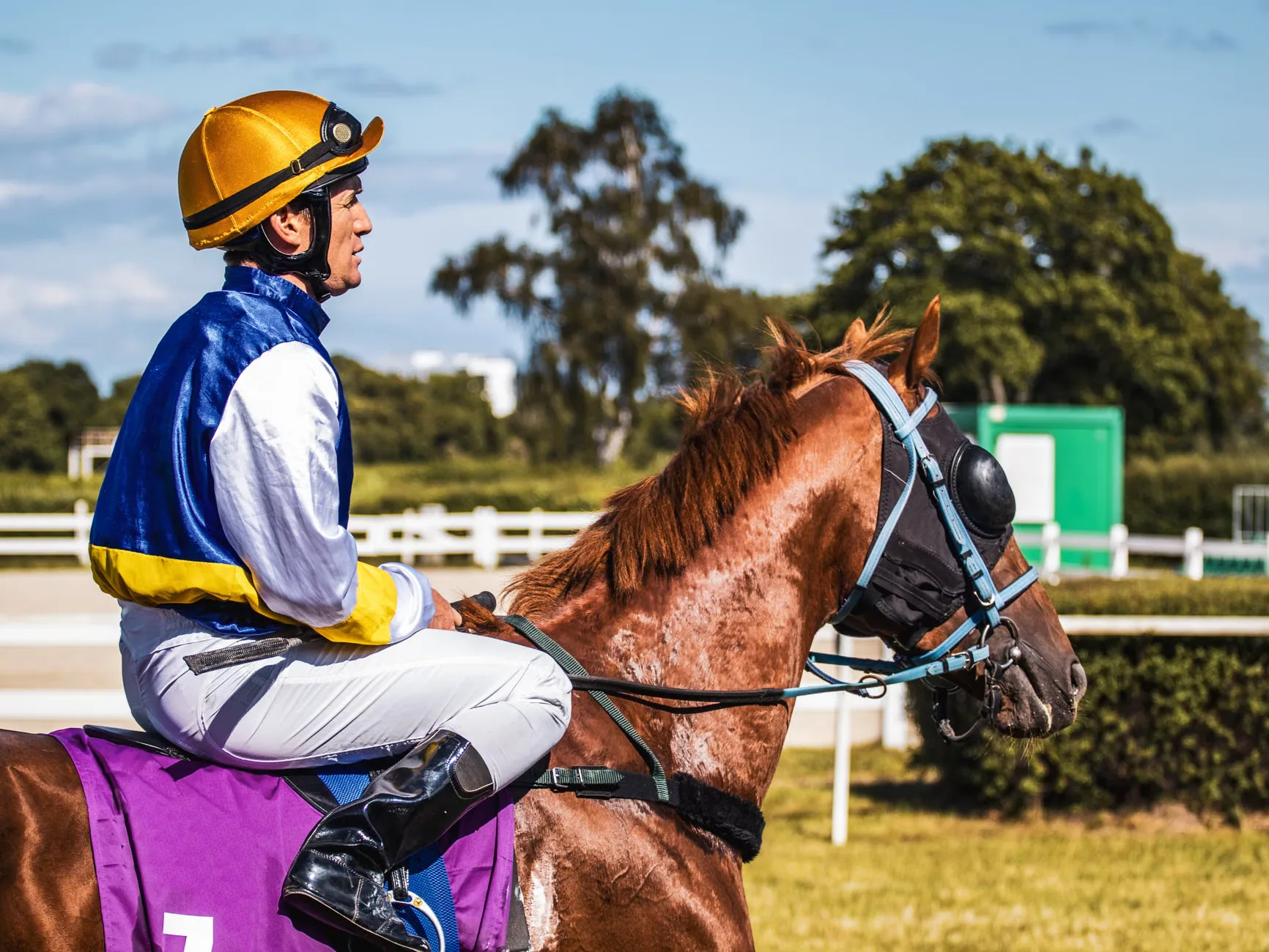 Autumn Afternoon Racing - Hereford Racecourse at Hereford Racecourse