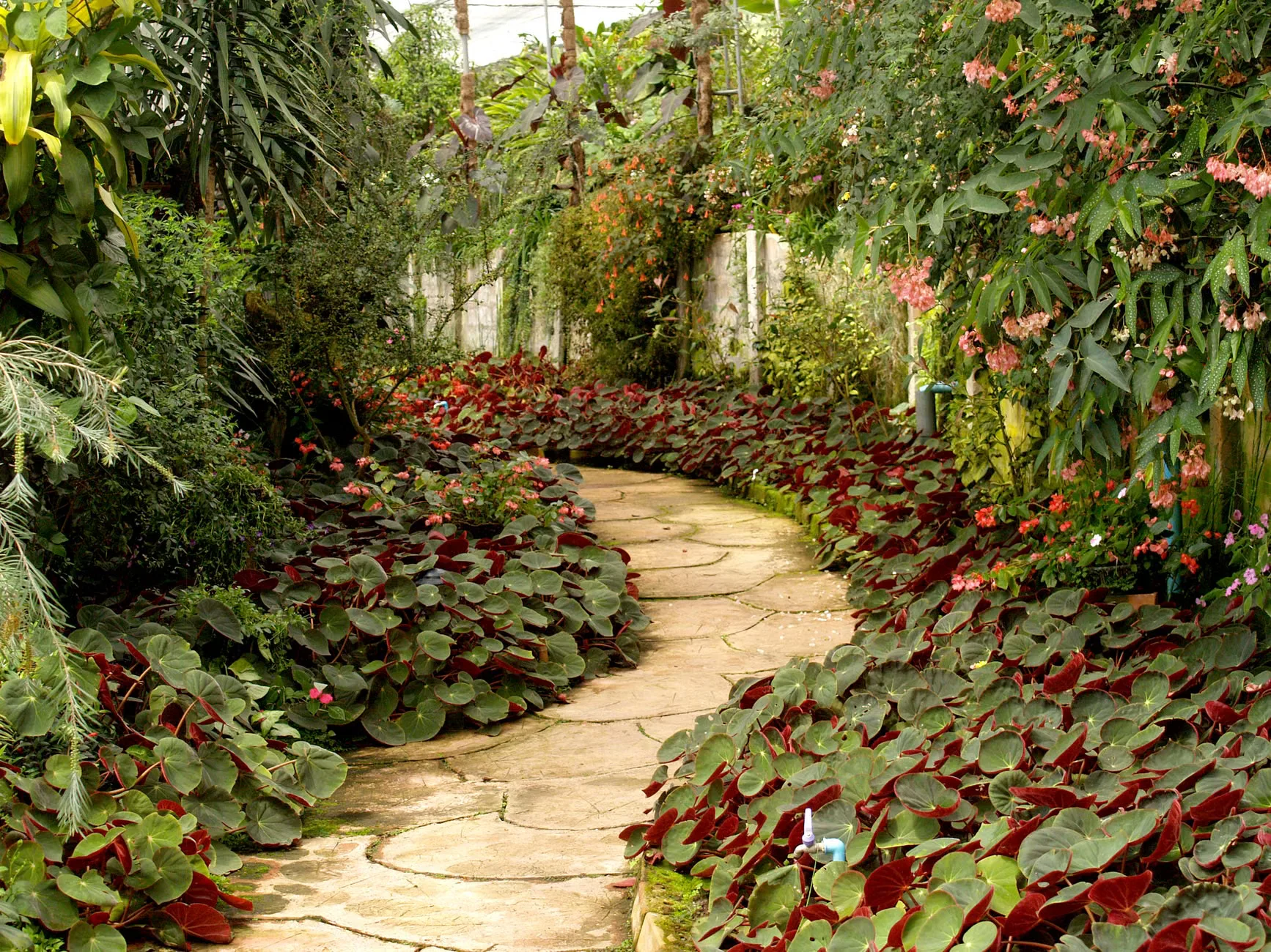 Garden tour with Les Smith