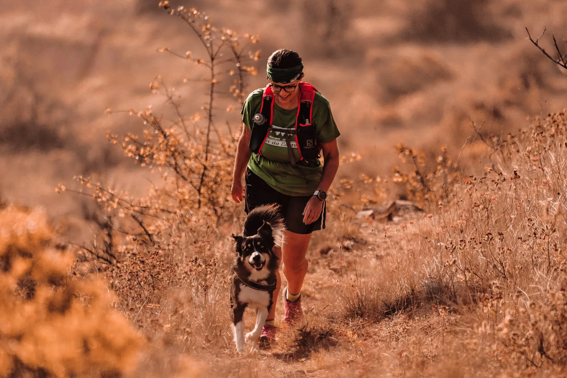 Sporting Paws Beach Dash
