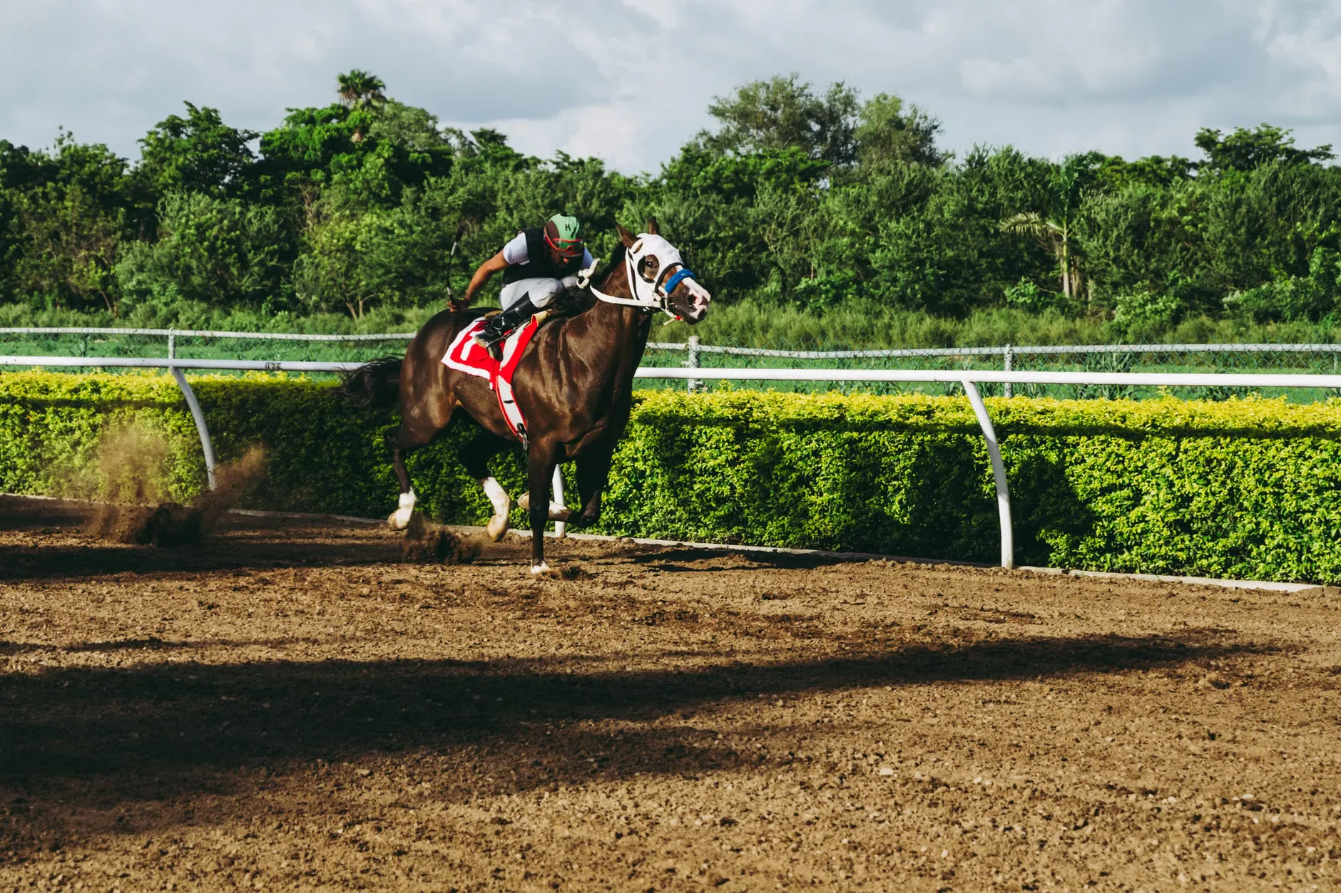 Halloween Family Day - Hereford Racecourse at Hereford Racecourse