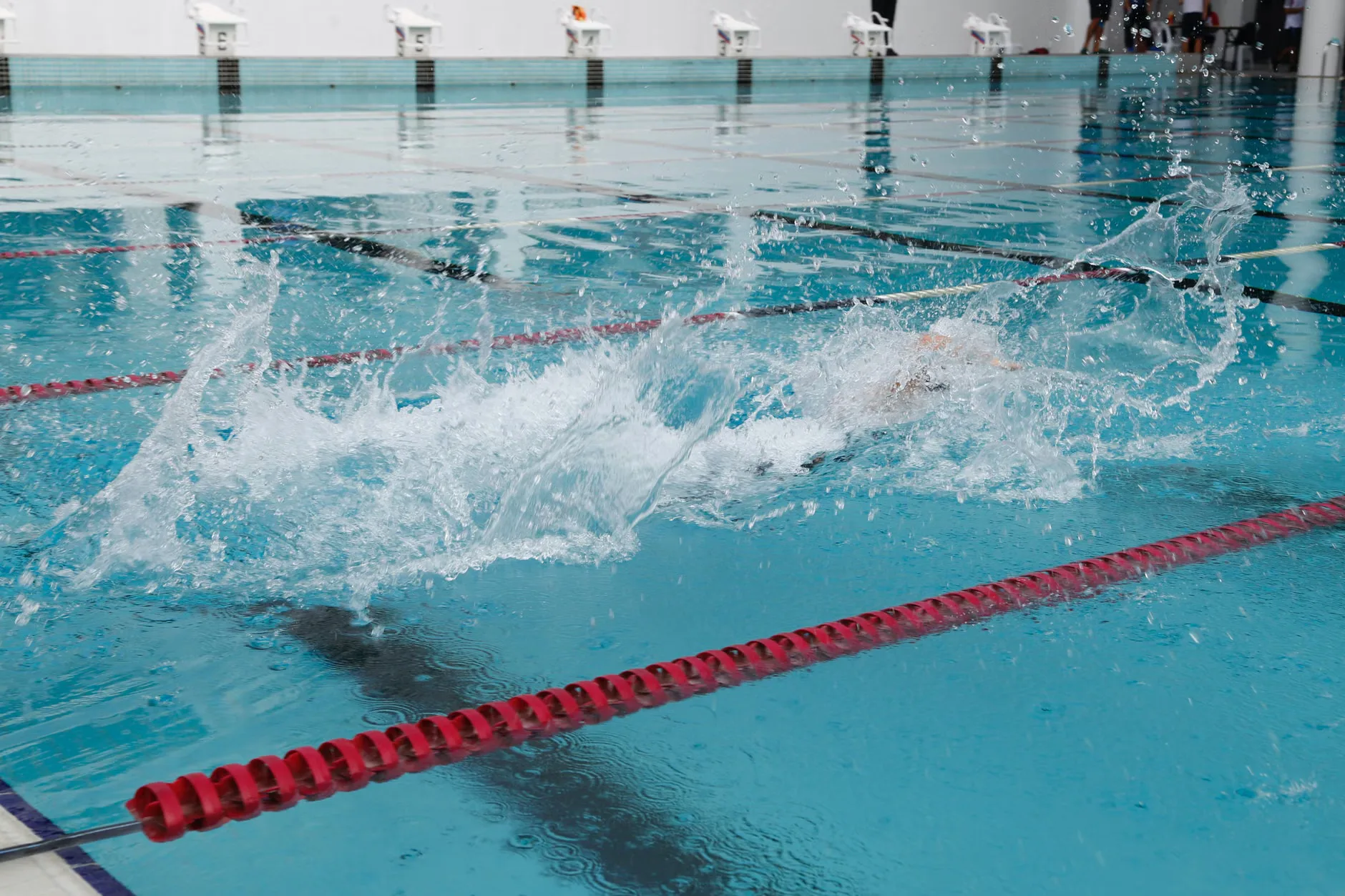Lane Swimming (medium)
