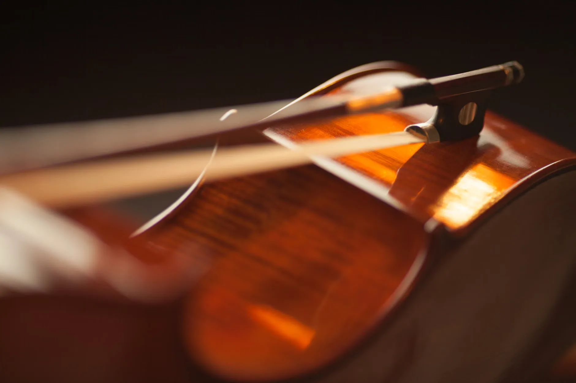 Four Seasons and The Lark Ascending by Candlelight - 13th Nov, Edinburgh at St Giles' Cathedral
