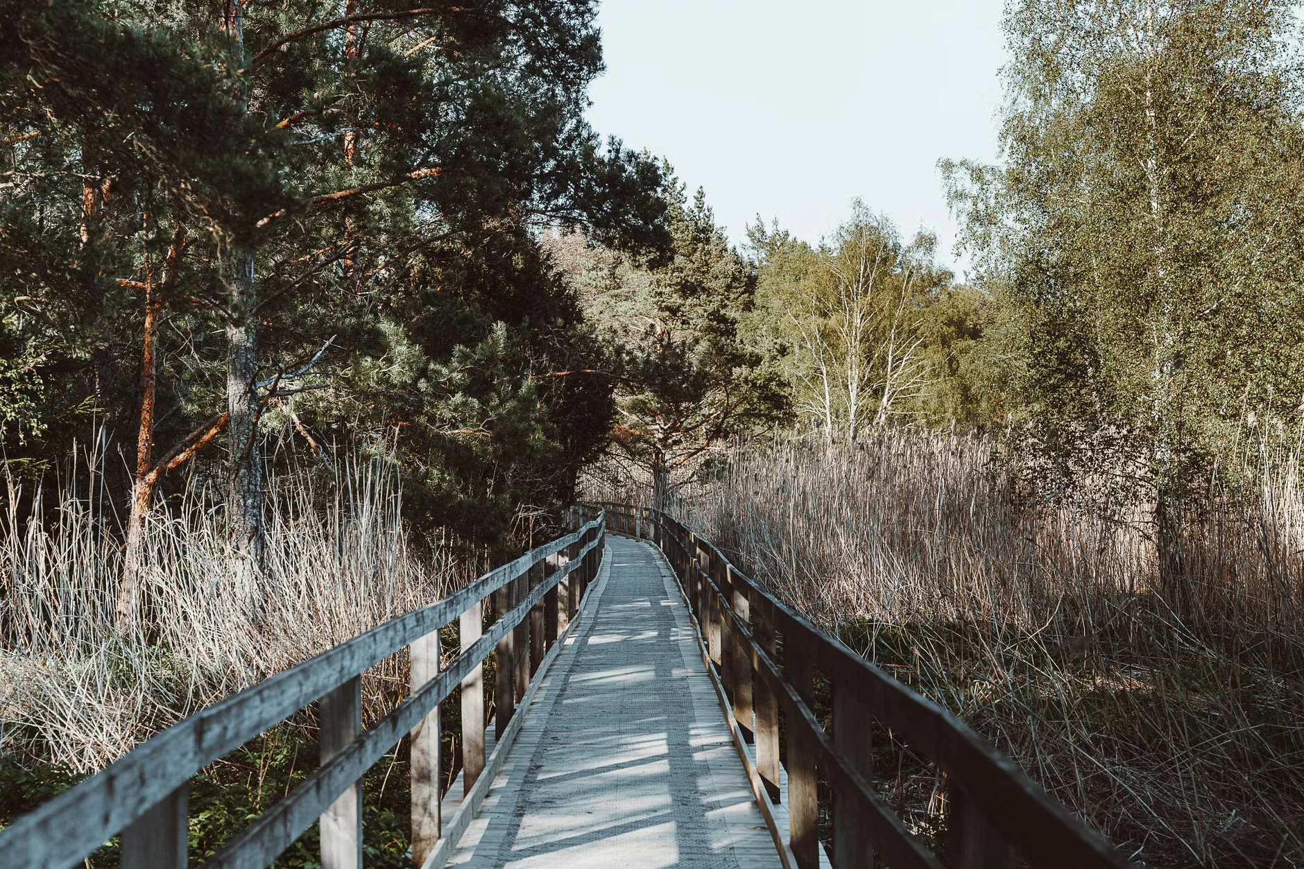 Waterways Nature Connection Programme