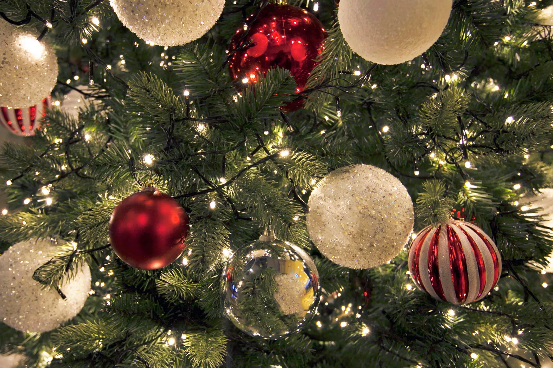 Celebrate Christmas at Haydock at Haydock Park