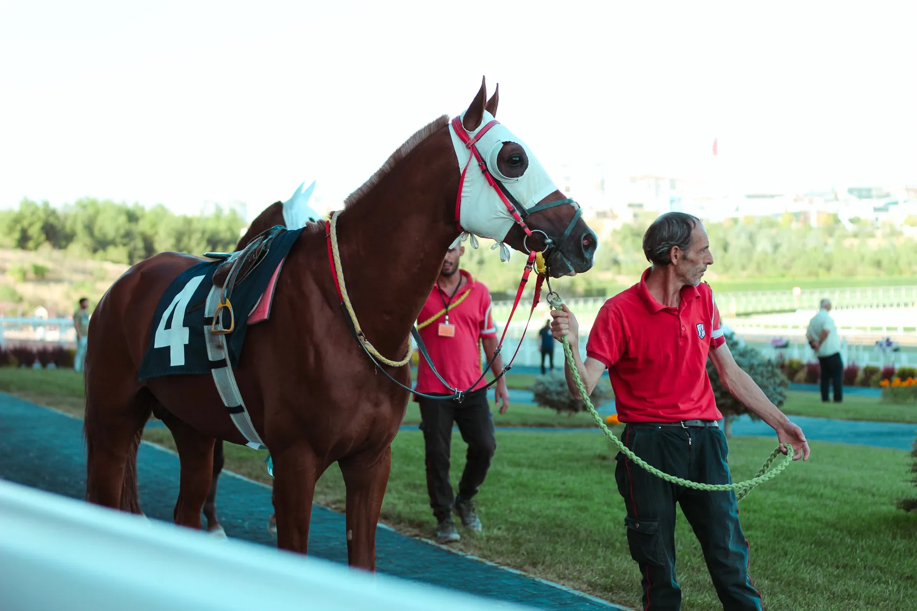Autumn Floodlit Flat Racing - Southwell Racecourse at Southwell Racecourse