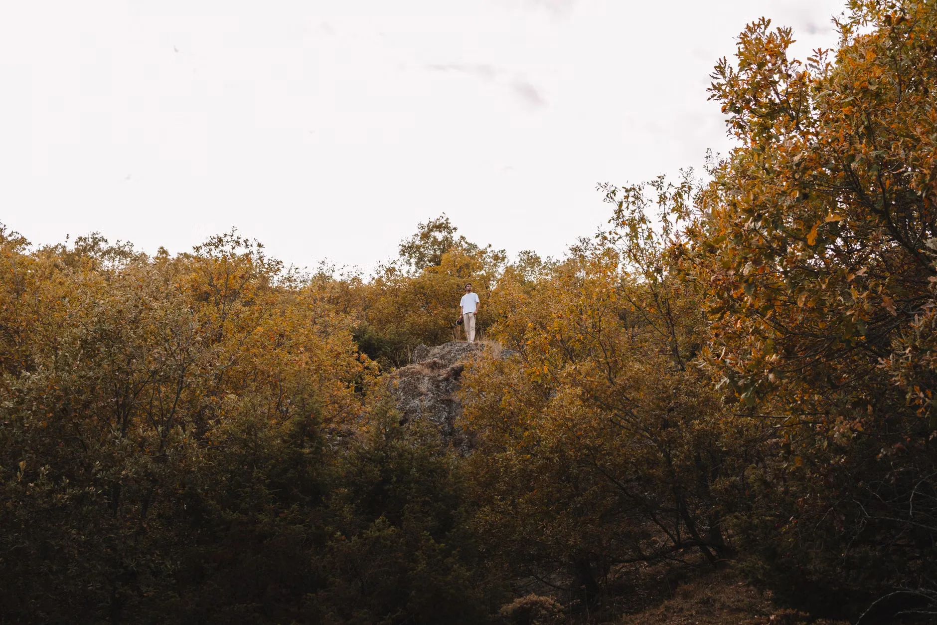 Extreme Weather - Guided Walk led by Lester Hillman