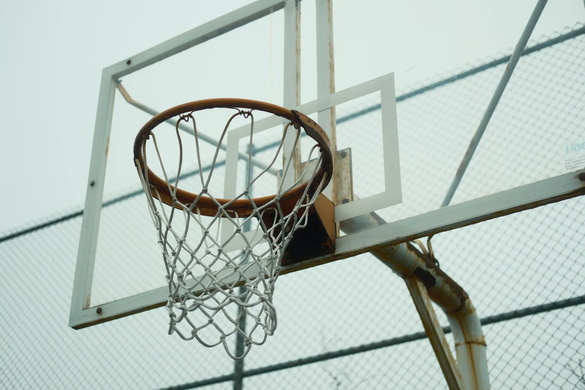 Disability Basketball