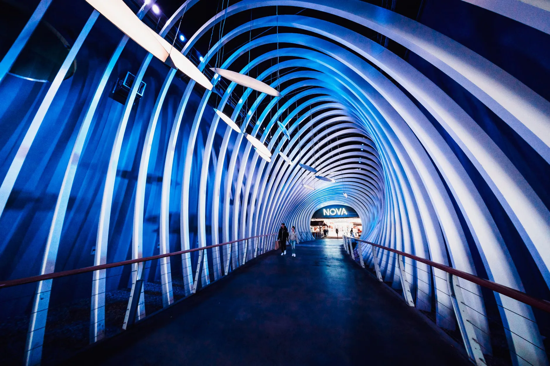 Sea Life London - Standard Entry at County Hall