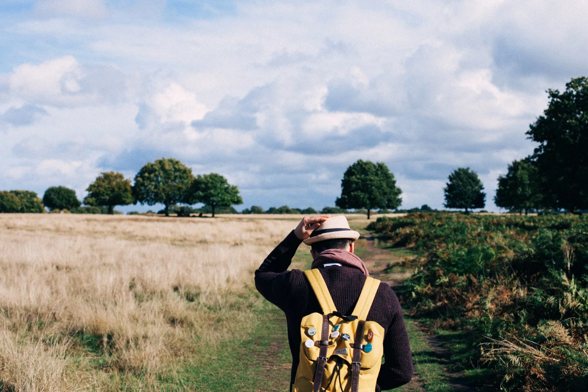 Guided walk: Devil's punchbowl to Haslemere circular at River Wey and Godalming Navigations and Dapdune Wharf