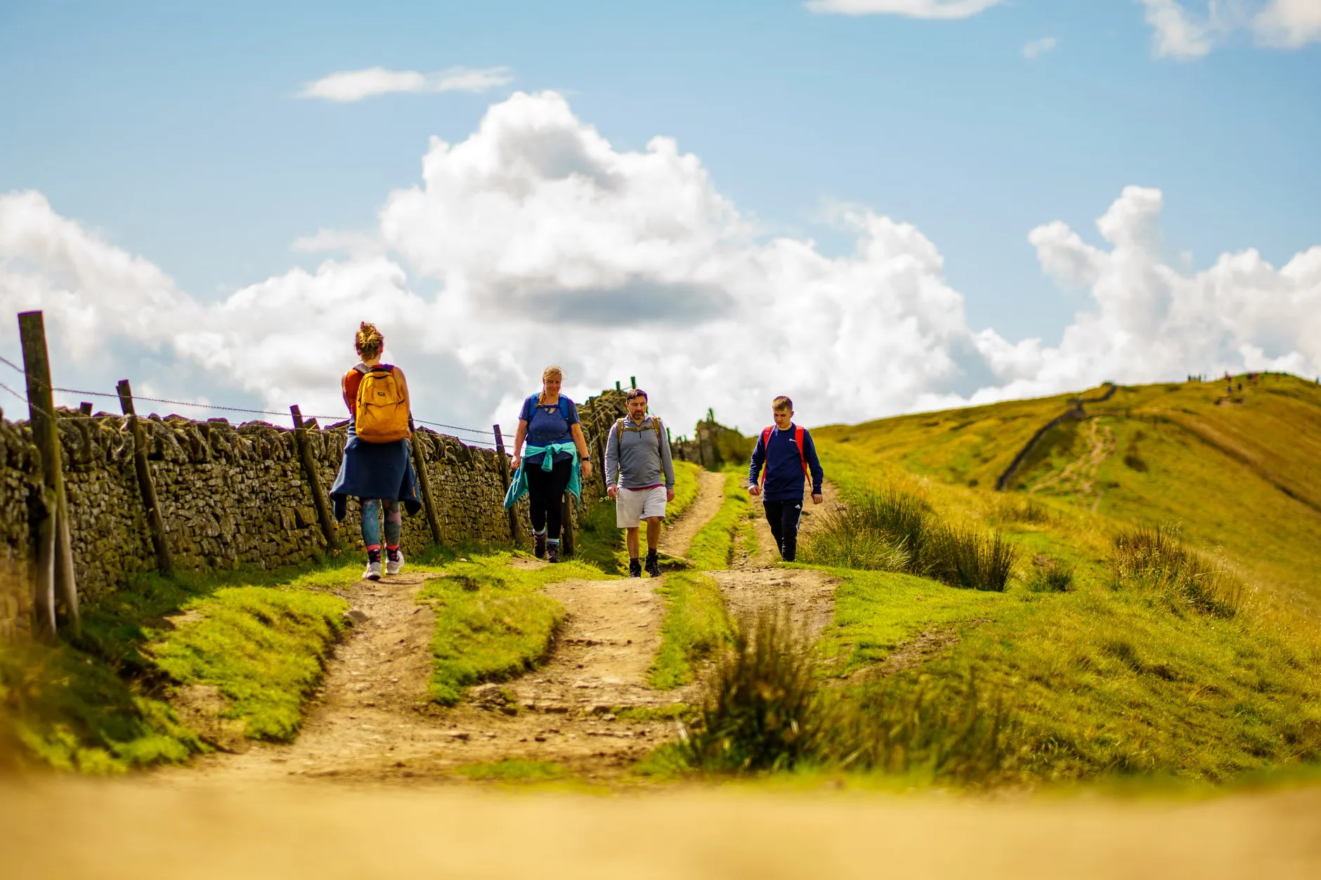 Guided walk: Horsey Windpump and estate at Horsey Windpump