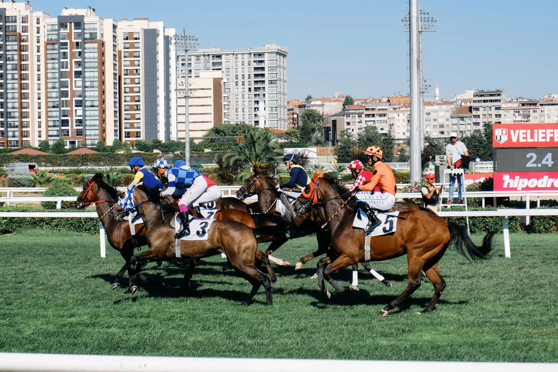 Tuesday Afternoon- November Jump Racing 2026 - Sedgefield Racecourse at Sedgefield Racecourse