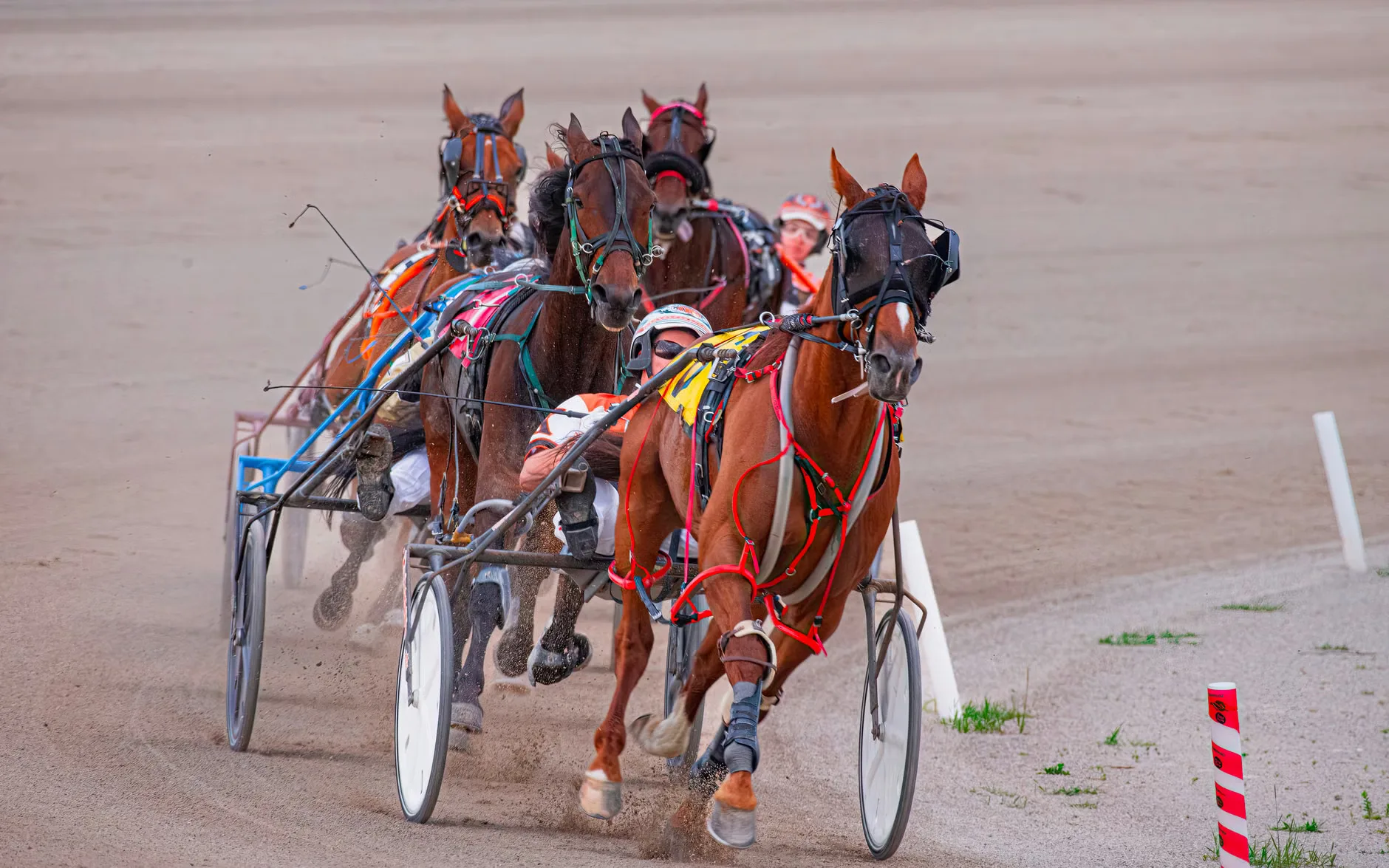 Autumn Floodlit Racing - Newcastle Racecourse