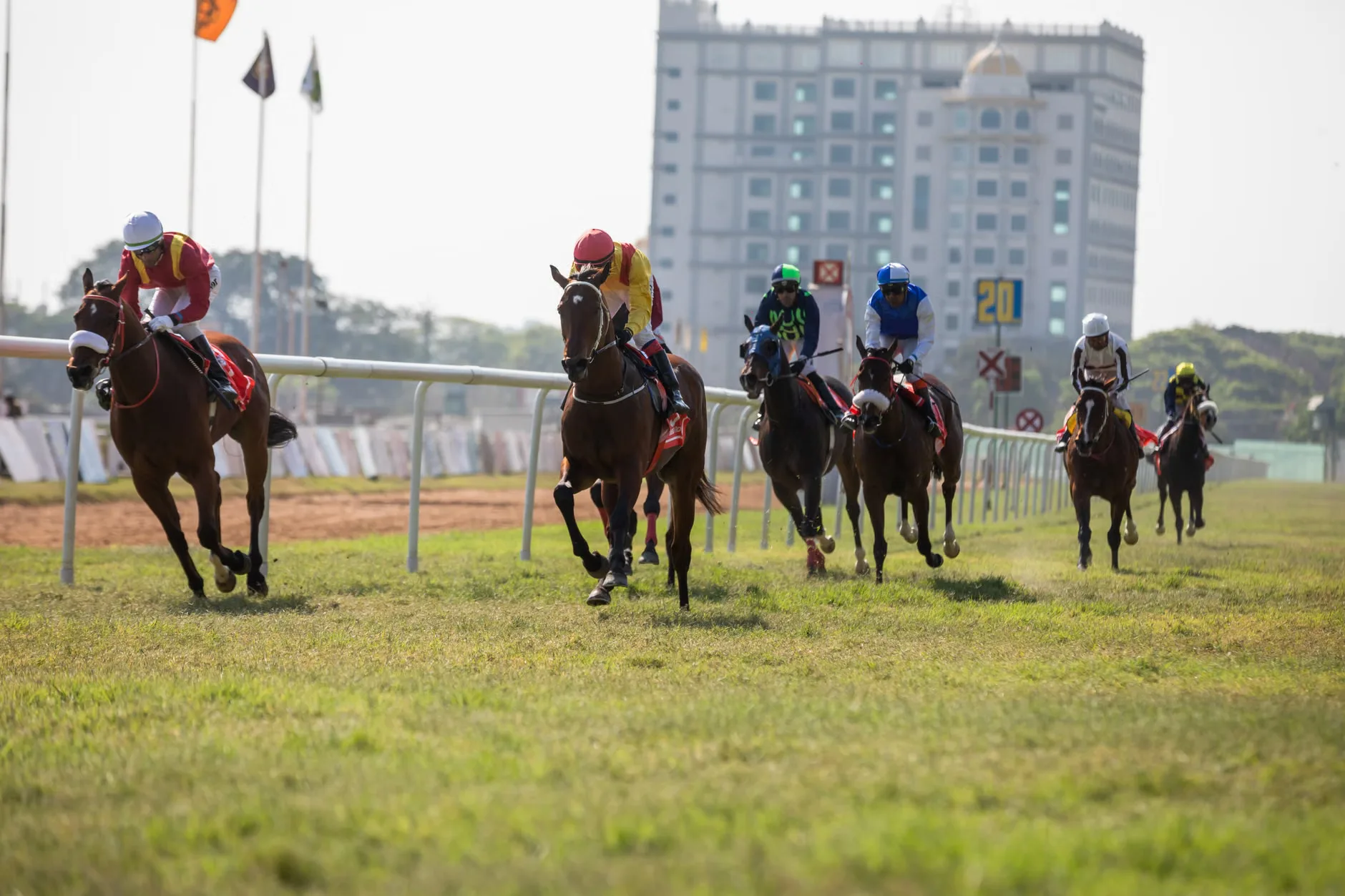 The Greatest Raceday at Newmarket Racecourses