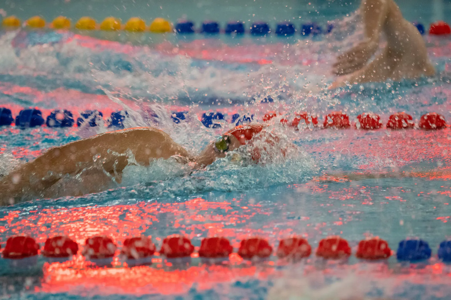 Lane Swimming (fast)