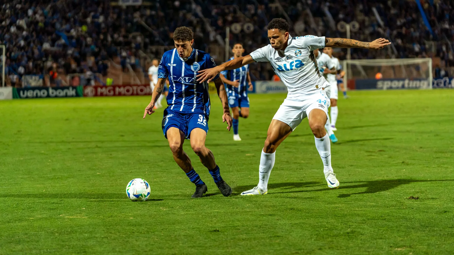 Tottenham Hotspur vs Brighton & Hove Albion