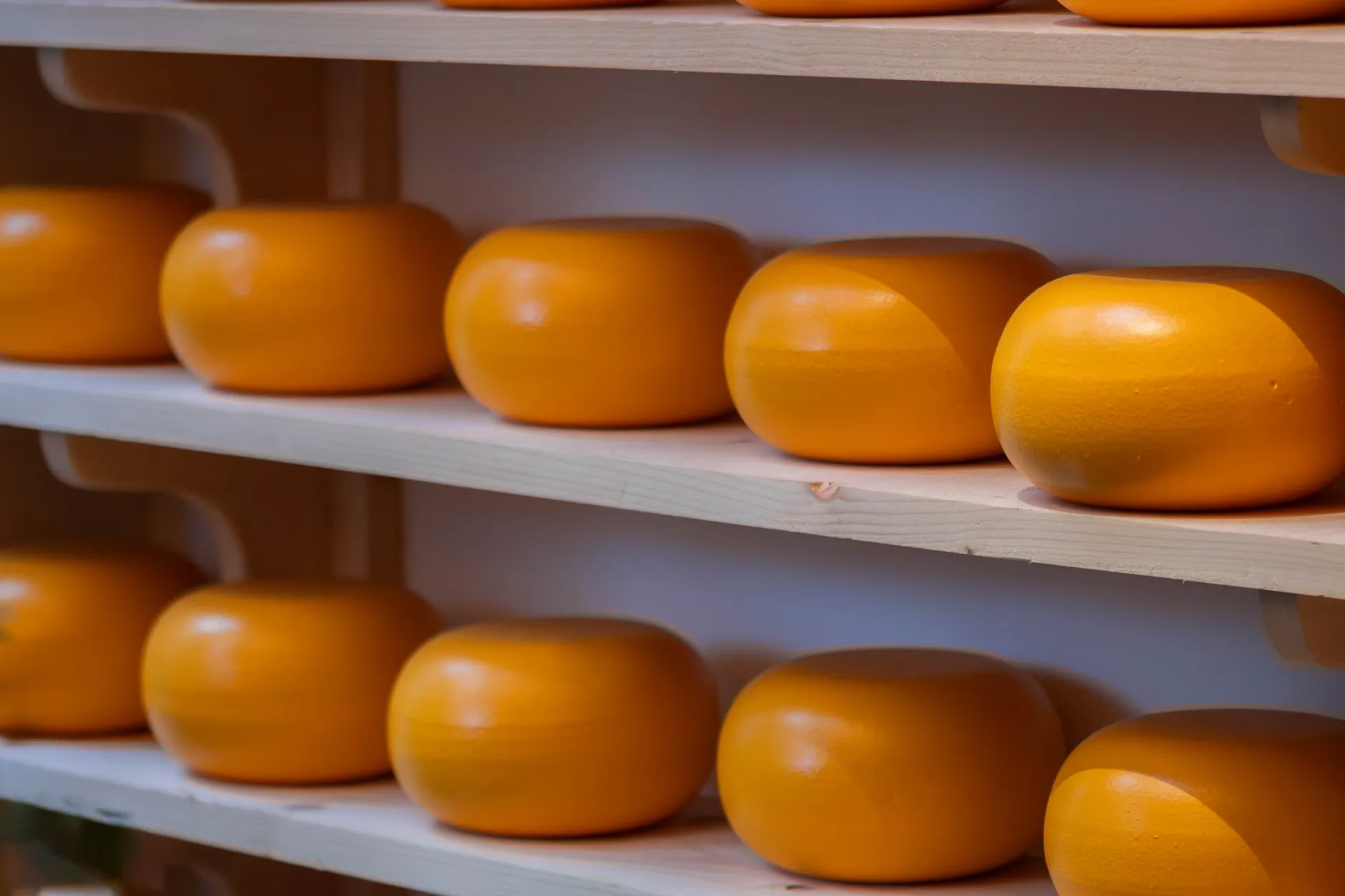 Tosi Gorgonzola Cheese Tasting with Wine Pairings for Two at London