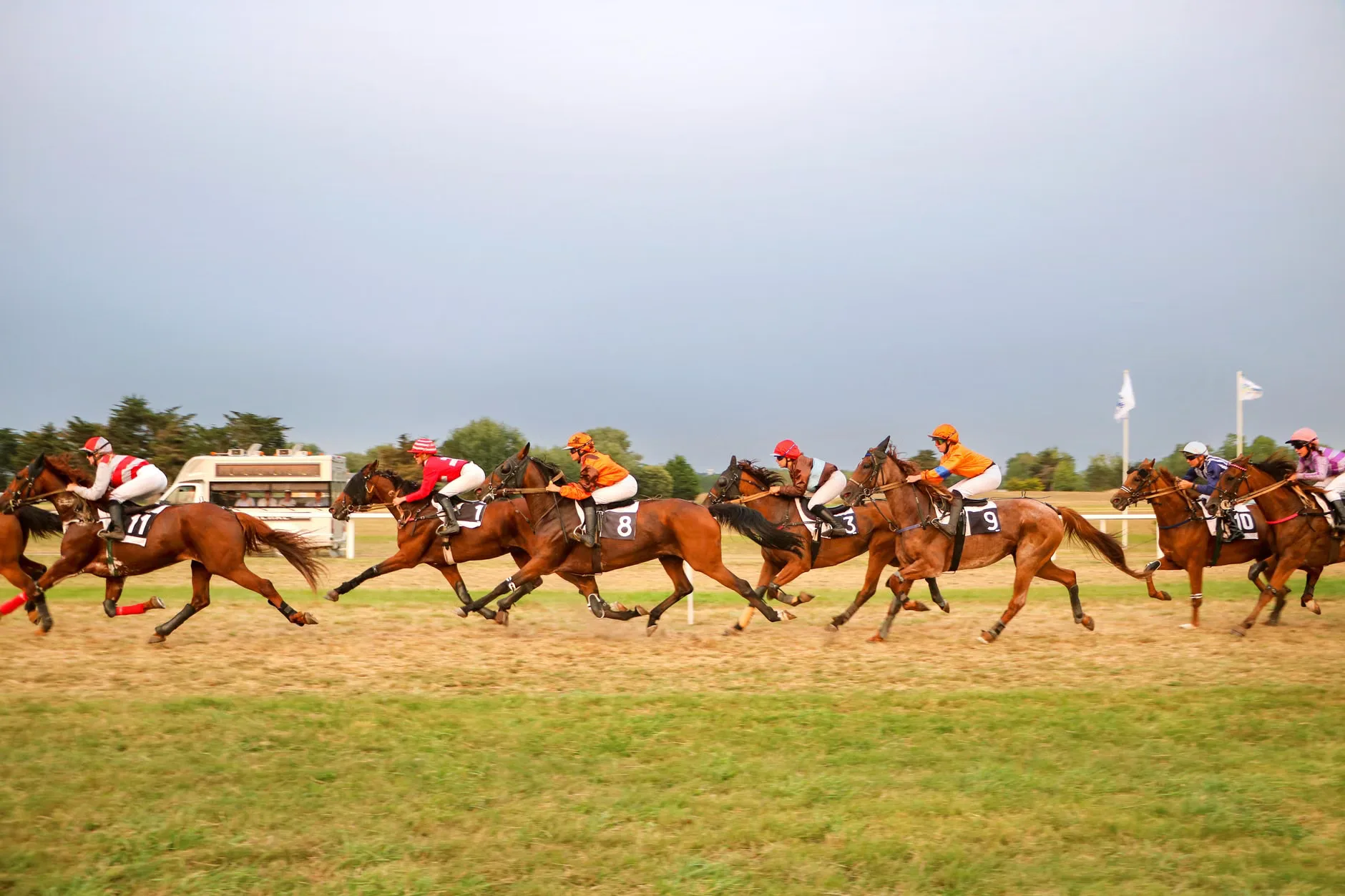 Autumn Floodlit Racing - Newcastle Racecourse