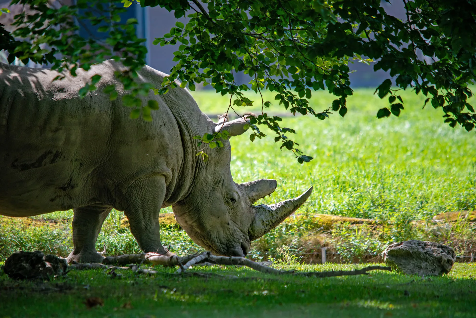 Chessington World Of Adventures Resort