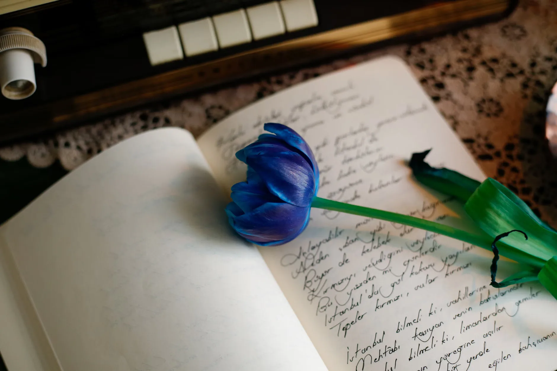 Summer of Play - Storytelling Weekends at Dunham Massey