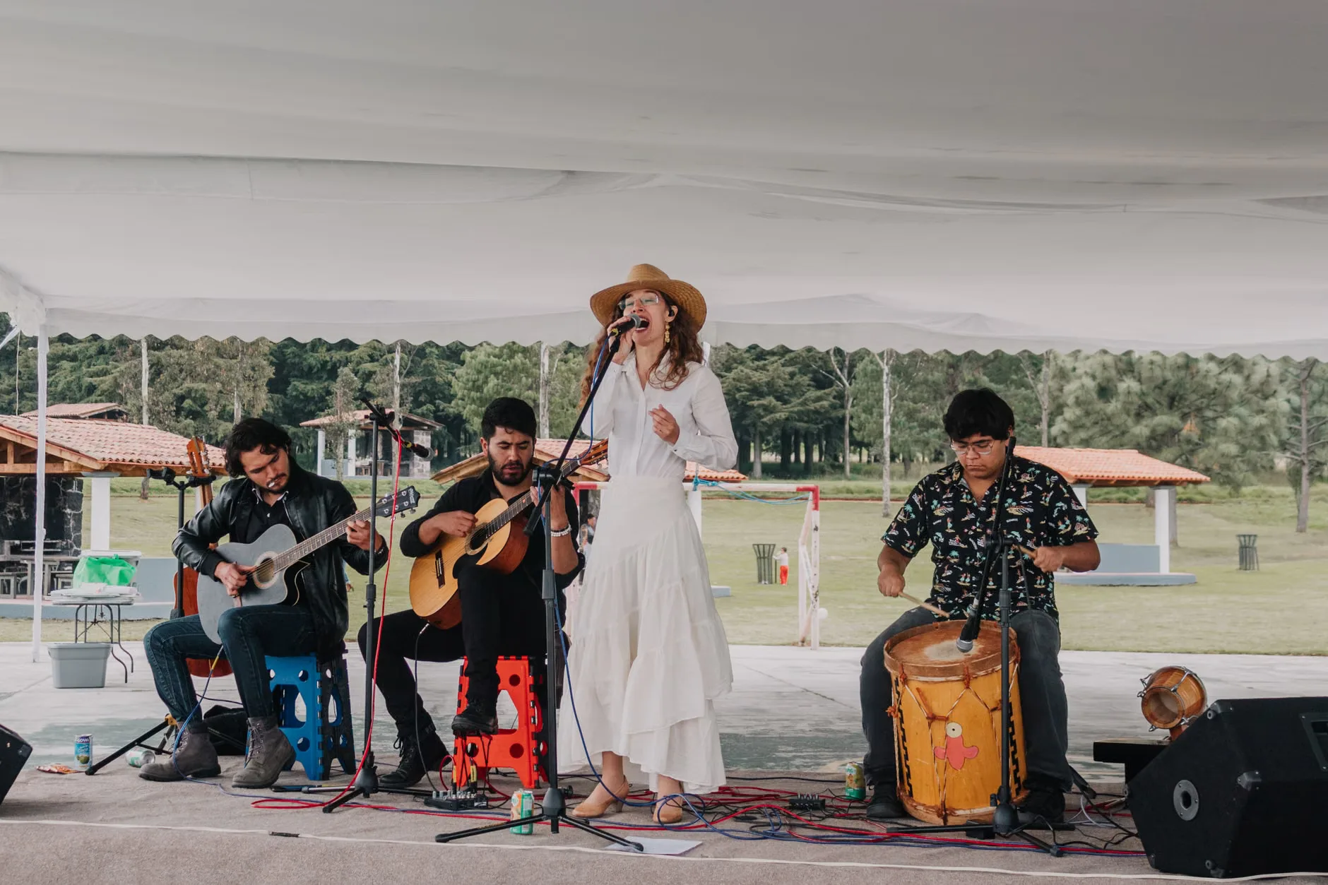 Elephant Sessions