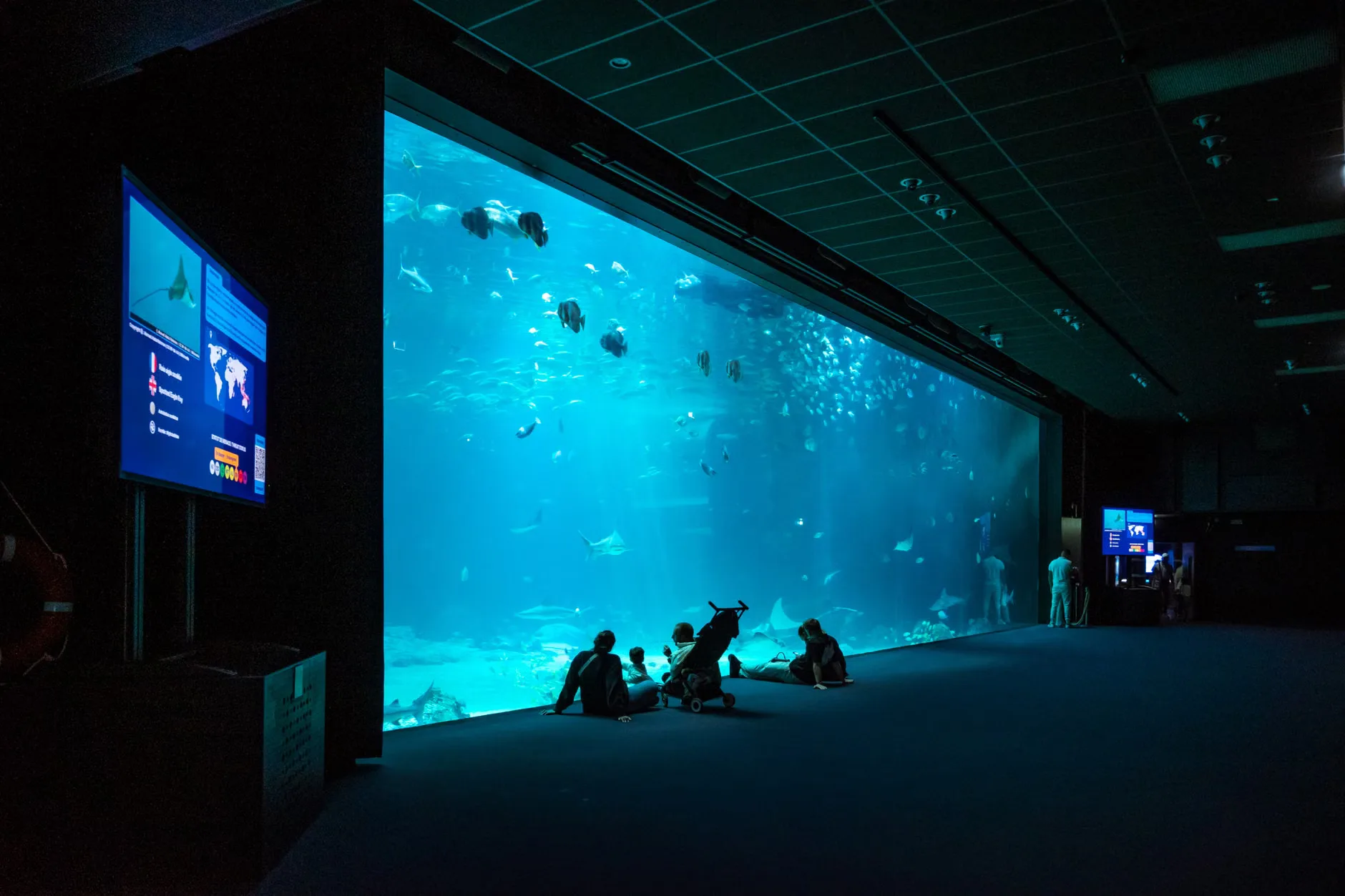 Sea Life London - Standard Entry