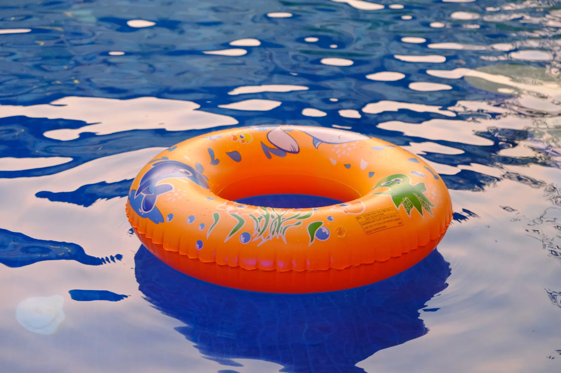 General Swim (Sauna and Steam Closed) (Pool lifeguard in 2 lanes 8am to 10am)