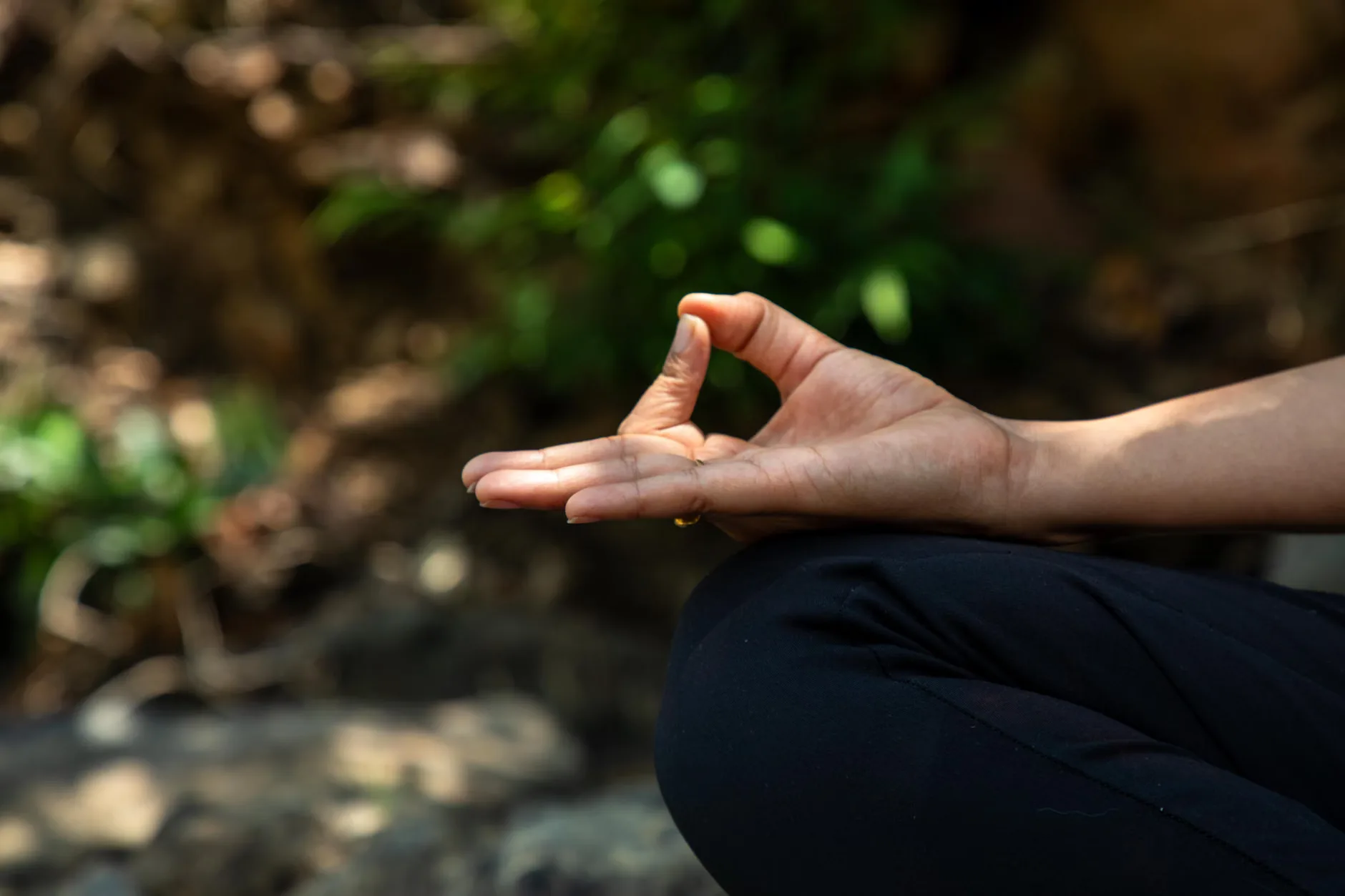 Hiking and Yoga Activity in Brighton at East Brighton Cafe